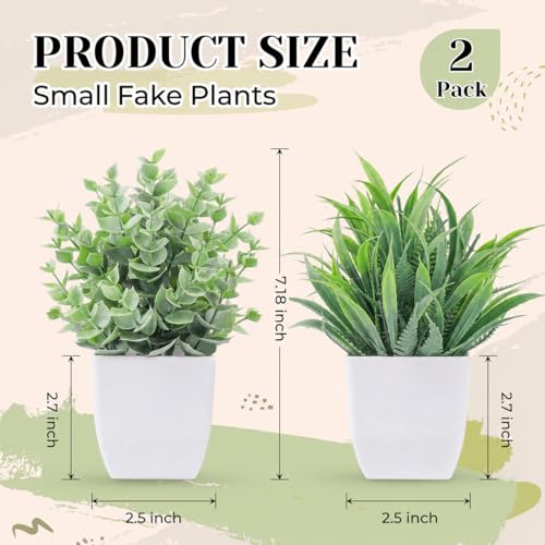 Der Rose 2 Pack Small Fake Plants Mini Artificial Potted Plants Graduation Gifts for Table Desk Home Laundry Room Bathroom Office Decor - Image 3
