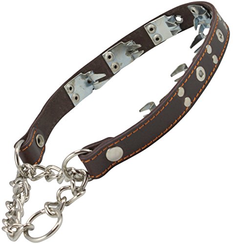 Dogs My Love Training Genuine Leather Pinch Martingale Dog Collar Studded 4Mm Link Brown 3 Sizes (15.5"-19") #TOP3