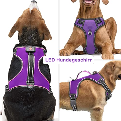 Hundegeschirr Leuchtend Wiederaufladbares Leuchtgeschirr für Hunde Led Beleuchtetes Hundegeschirr für Klein Mittelgroße Große Hunde