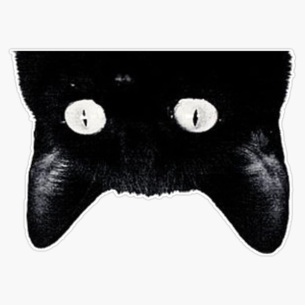 MAGNET Sneaky Cat Magnet Bumper Sticker Car Magnet Flexible Reuseable Magnetic Vinyl 5