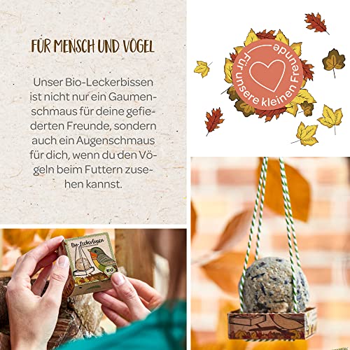 Die Stadtgärtner – Leckerbissen Feinschmecker Bio I Ganzjahres-Futterknödel für Wildvögel I Vogelfutter für Amseln Rotkehlchen Meisen etc. I Mit besten Bio-Zutaten wie Getreide Saaten & Nüssen