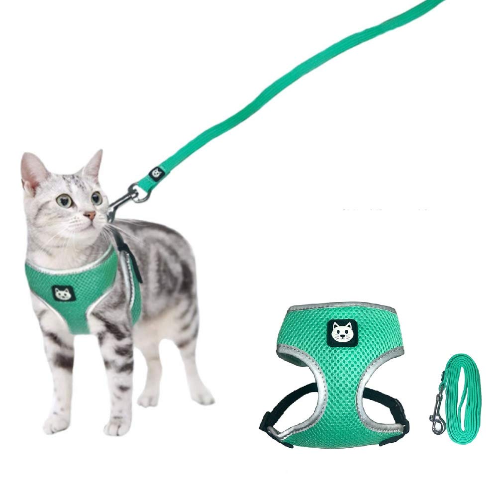 Stock Show Pet Cat Harness With Lead Leash Set Cat Desertcart INDIA