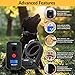 Educator FOB 300 Yard Dog Training Collar with Remote, Humane Stimulation, Pavlovian Tone, Waterproof, Odorproof Biothane Collar, Night Light, Rechargeable, 1 Dog, Black