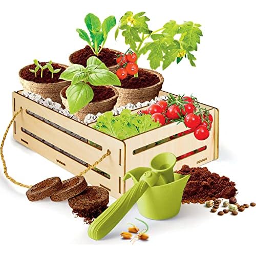 Galileo Play for Future – Mein Garten Set, Experimentierkasten für Pflanzen-Fans, Wissenschaft für Zuhause, ideal als Geschenk, Botanik & Biologie für Kinder ab 7 Jahren von Clementoni 59207 6 Galileo Play for Future – Mein Garten Set, Experimentierkasten für Pflanzen-Fans, Wissenschaft für Zuhause, ideal als Geschenk, Botanik & Biologie für Kinder ab 7 Jahren von Clementoni 59207