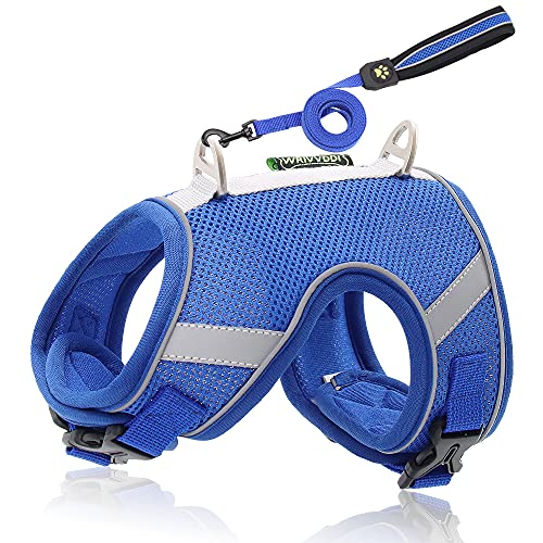 Piang Gouer Hundegeschirr und Leine für kleine Hunde, reflektierendes, atmungsaktives Hundegeschirr aus Mesh, verstellbares Hundegeschirr für Spaziergänge, Hunde, Katzen, Weste(Blau-XS) Cover