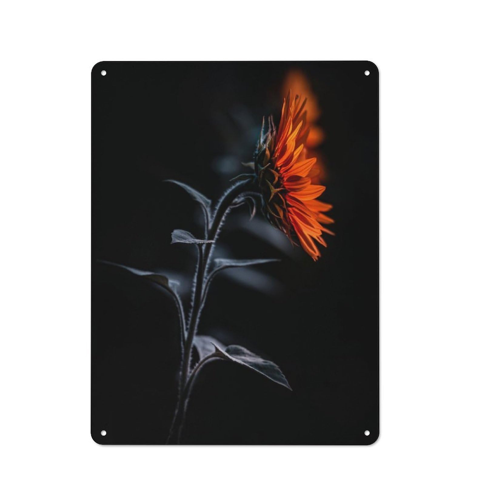 Junmoney Glowing Sunflowers Retro Tin Wall Plaque 40X30cm For Kitchen Or Home Bar, For Home Interiors, Feature Walls And Decorative Displays