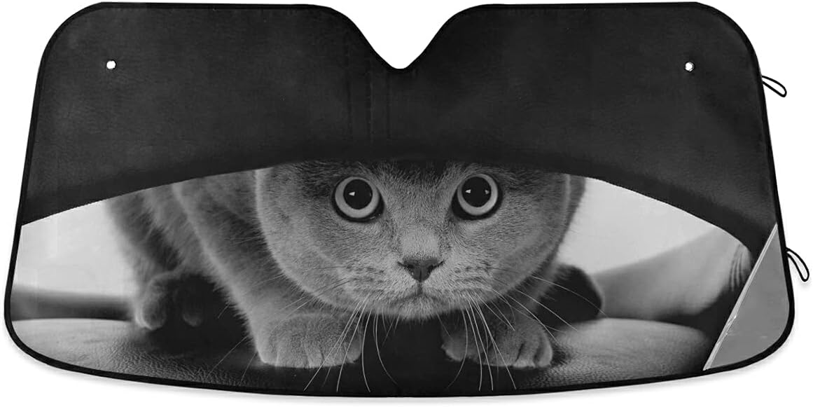 SUABO Car Windshield Sun Shade Funny Scottish Cat Foldable Auto Window Sunshade Blocks UV Rays Sun Visor Protector (55" x 27.5")