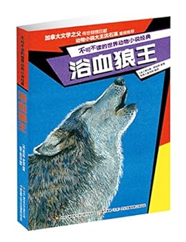 Paperback ????/????????????? [Chinese] Book