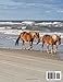 OUTER BANKS NORTH CAROLINA: A Mind-Blowing Tour of Outre Banks,North Carolina Photography Coffee Table Book: for People Of All Ages Who Love Tourism & ... & Meditation - Paperback.July 4,2023.