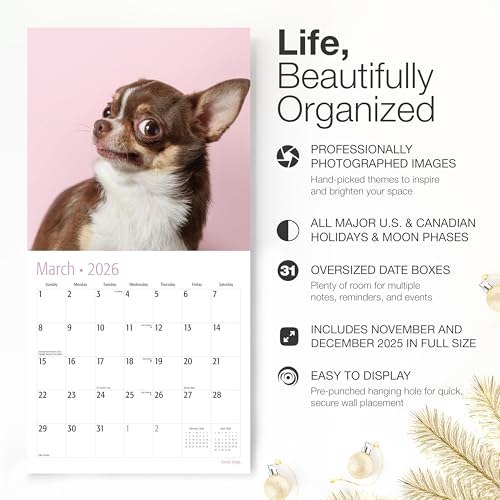 Image of RED EMBER Goofy Dogs 2026 Wall Calendar 12 Month | 12 inch x 24 inch Open | Thick & Sturdy Paper | Giftable | Kids Pooches Funny Puppy Dog Calendar 2026