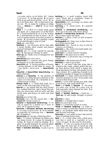 Webster's Dictionary & Thesaurus for Students with Full-Color World Atlas, Third Edition - Image 5