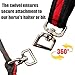 Horse Lunging Strap, Horse Lunge Line with Swivel, Premium Quality Lunging Aid for Horse Training, Improve Control and Performance (Black&Red)