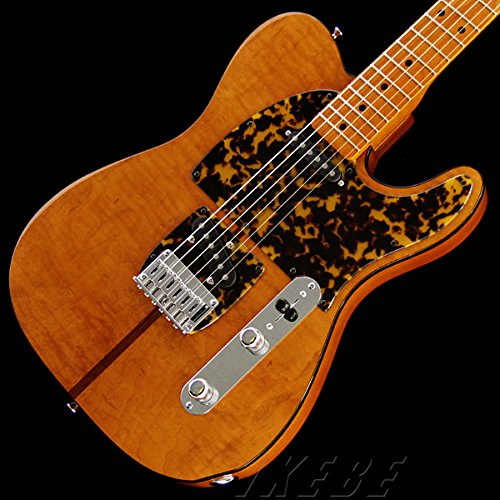 H・S・Anderson＊エクスプローラータイプ エレキギター H・S・Anderson＊エクスプローラータイプ エレキギター H・S