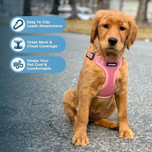 Voyager by Best Pet Supplies - Fully Adjustable Step-in Mesh Harness with Reflective 3M Piping, (Turquoise, Medium) by Best Pet Supplies - Image 5