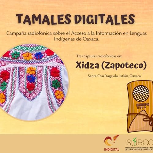Page de couverture de Tamales digitales en lengua zapoteca