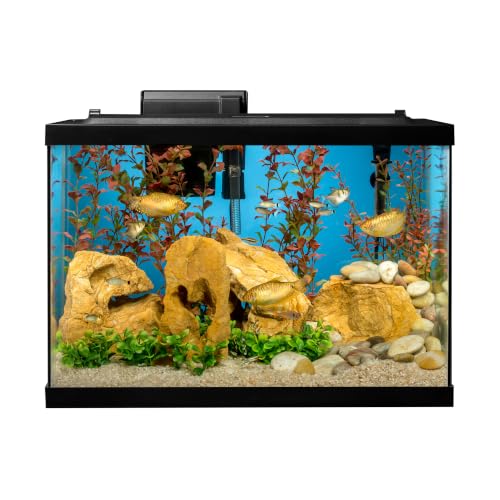 Tetra 20 Gallon Complete Tropical Fish Tank Kit
