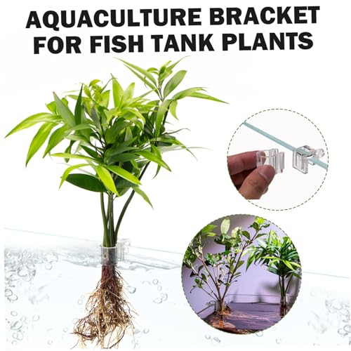 Soporte para plantas de acuario transparente en forma de U pack de 12 unidades para paisajismo 6