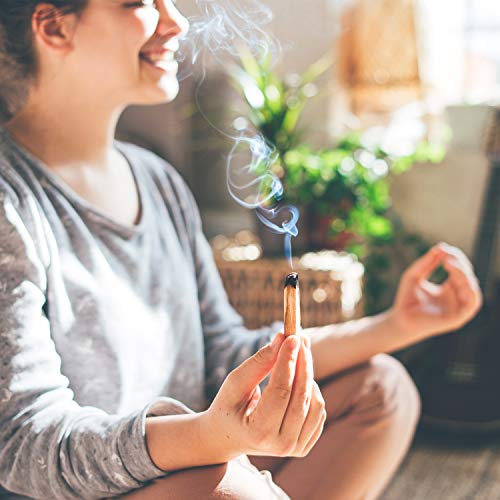 Palo Santo - Incense Sticks For Stress Relief, Spiritual Cleansing, Home Purification, Healing, Meditation, Gifts - Aromatic Holy Wood Incense - 100% Natural, Sustainable, Wild Harvested. (Pack Of 12) #TOP2