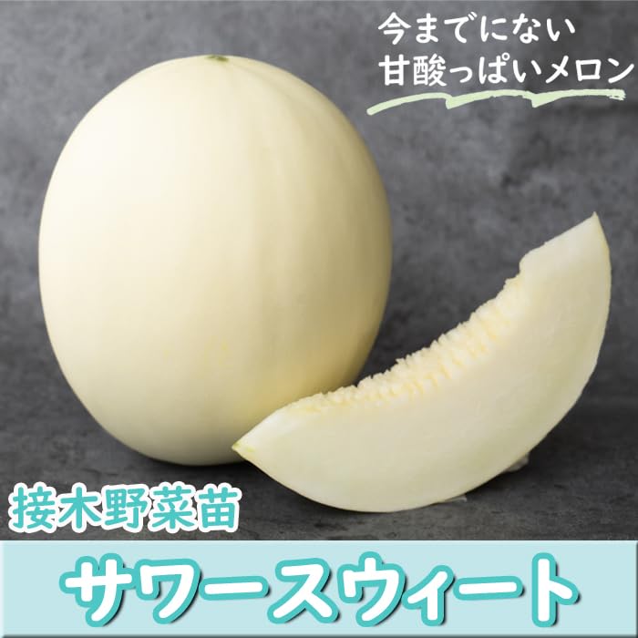 Amazon.co.jp: 接木 野菜 苗 メロン サワースウィート 9cmポット