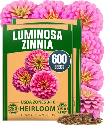 Image of HOME GROWN Pink Zinnia Seeds - 600 Luminosa Zinnias 0.5g, Easy to Grow Annual Flower Seeds for Planting Outdoors for 2026, Fast Blooming, Heat Tolerant Herb Seed Garden Companion (Zinnia elegans)