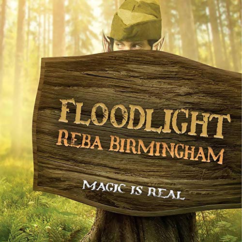 Floodlight by Reba Birmingham episode artwork