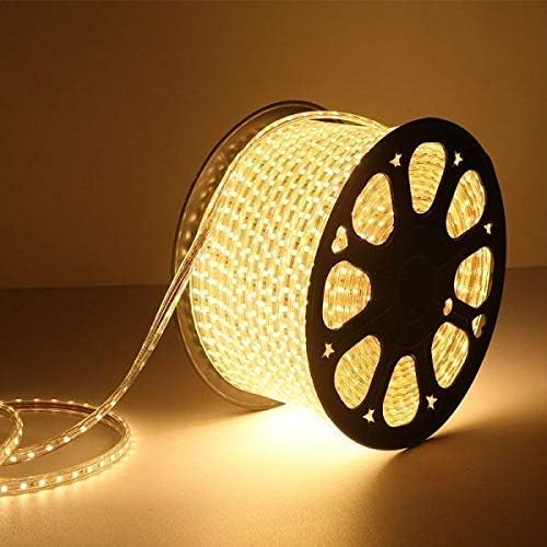 Buy EcoLink 50 Meter Warm White LED Rope Light | For False Ceiling ...