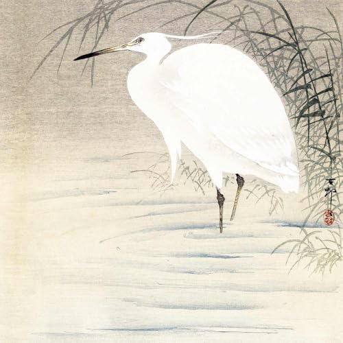 ROSSOGRAFICO  |X^[ ӂ̏ G { a  ͂炱 { A[g|X^[ A3ZӐ`