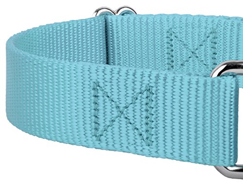 Country Brook Design CNM-OCB-M1 Country Brook Petz Martingale Dog Collar thumb #7