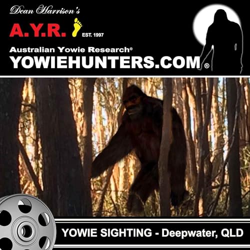 Yowie Sighting at Deepwater, Queensland - 2019