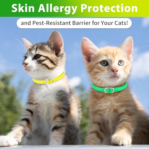 Flohhalsband Katze 4 Stück Zecken-Halsband für Katzen, Anti-Floh Katze Halsband, Verstellbar und Wasserdicht, Natürlich und Sicher, 48 cm Length, 24 Monate Schutz, Zecken-Flohband für alle Katzen