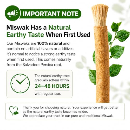 Image of Miswak Sticks for Teeth Pack of 12 with Holder - 100% Natural Salvadora Persica Miswak Sticks - Traditional Oral Care Chewing Sticks - Vacuum Sealed