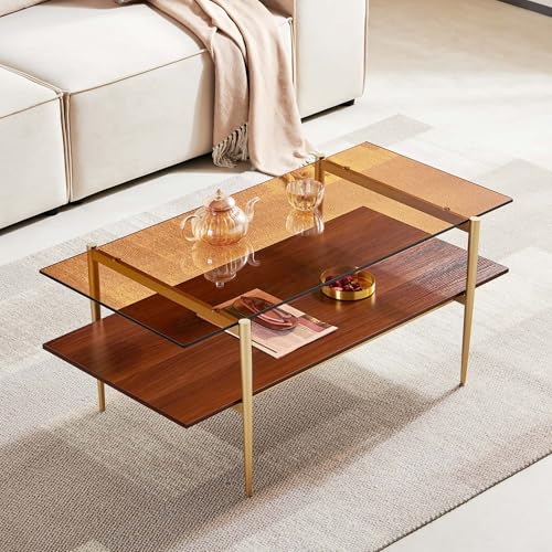 AGV LIGHTING 202206 Tadio Glass Coffee Table, Double Layer Coffee Table for Living Room, Coffee...