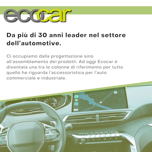 Ecocar - Estintore 1Kg In Polvere Omologato EN3 Per Auto, Casa E Camper - Con Manometro E Supporto Incluso - 8
