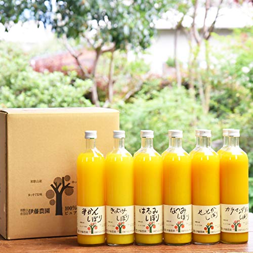 伊藤農園 みかんジュース オレンジジュース 100% 無添加 ストレート 750ml 和歌山 有田 詰め合わせ 甘い 贈答用 手土産 まとめ買い 瓶 甘め 12本