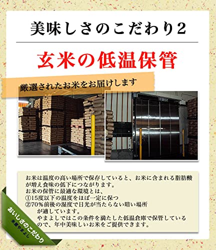 Amazon.co.jp: 福島県中通り産 玄米 コシヒカリ 30kg 令和7年産 ※沖縄