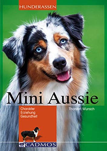 Mini-Aussie: Charakter, Erziehung, Gesundheit Mini-Aussie: Charakter, Erziehung, Gesundheit