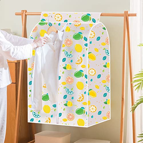 Clothes Rail Cover with Zipper,2 Pcs Garment Bags Dustproof Wardrobe Hanging Dress Suit Covers Protector Bags,Eco Friendly PEVA,Washable,A-30x60x100cm (A 60x60x100cm)