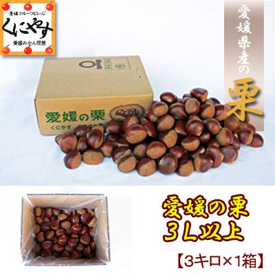 Amazon.co.jp: 早生栗【厳選品】【クール便配送】 愛媛産の栗3L