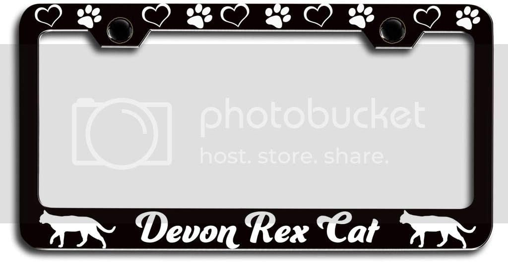 Makoroni - Devon REX CAT Cat Pets Black Metal License Plate Frame Tag Holder, #o5