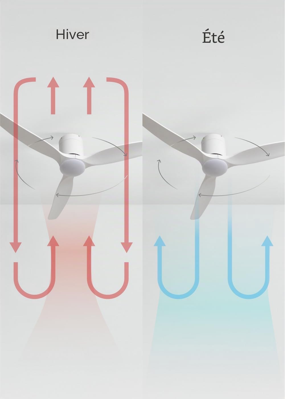 CREATE / WIND CALM SLIM LIGHT/Ventilateur de plafond avec lumière blanc télécommande / 40W, Silencieux, Ø132 cm, 6 vitesses, plafonnier slim light, fonction été-hiver, LED 3 températures