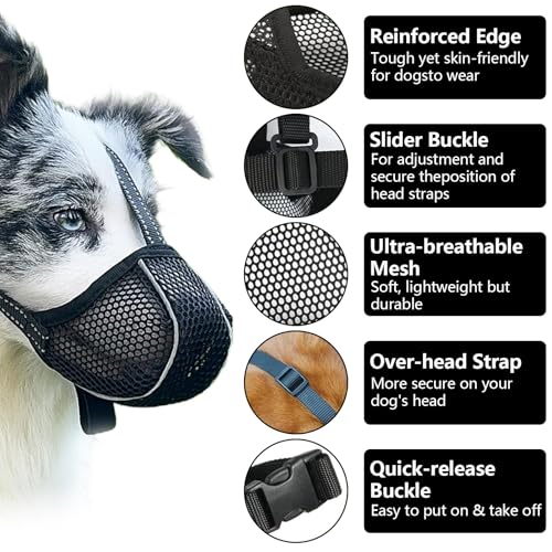 GIONAR Giftköderschutz Hund, Maulkorb Mittlere Hunde, Maulkorb Hund Prevent Fressen/Kauen/Beißen Hunde Maulkorb, Atmungsaktiv Reflektierende Einstellbare(Schwarz, M)