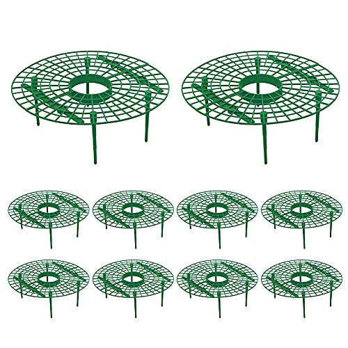 AMIGOYO C`SI x C`Sc I Xgx[T|[g C`SU ݒuȒP 2 4 U 8 10 C`S T|[g C`SxI C`SU ^  t[X^h |bN ؃bN |pȒPx xT|[gZbg