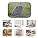Produktbild Rtosd Mädchen Bodenteppich Kaninchen Hase Holland Lop Fußmatte 23.6x15.7inch 60x40cm Mikrofaser Waschbar für Garten Büro Küche Esszimmer Living Decor