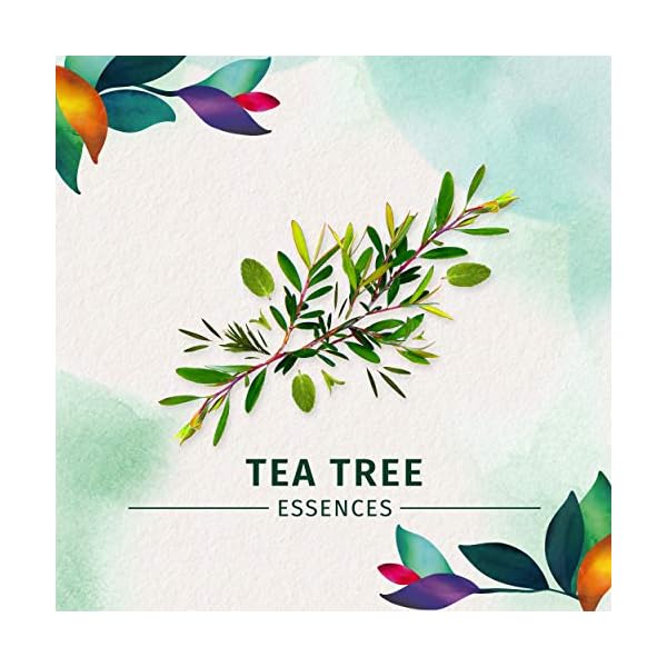 Herbal-Essences-Clarifying-Shampoo-and-Purifying-Conditioner-Tea-Tree-and-Jasmine-202-Fl-Oz-Bundle Herbal Essences, Clarifying Shampoo and Purifying Conditioner, Tea Tree and Jasmine, 20.2 Fl Oz Bundle
