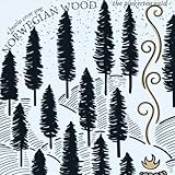 White Winter Hymnal