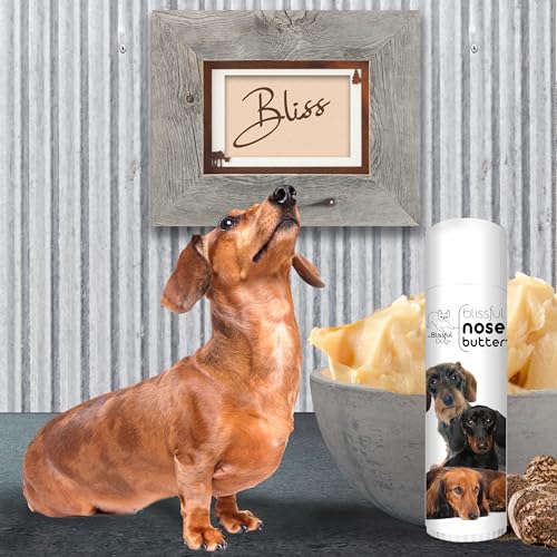 Image of The Blissful Dog Daschund Nose Butter for Dry, Cracked Skin, Lick-Safe Dog Nose Balm with Moisturizing Shea Butter, Almond, Olive, and Essential Oils, Pet Supplies, Uncented, 0.50 oz.