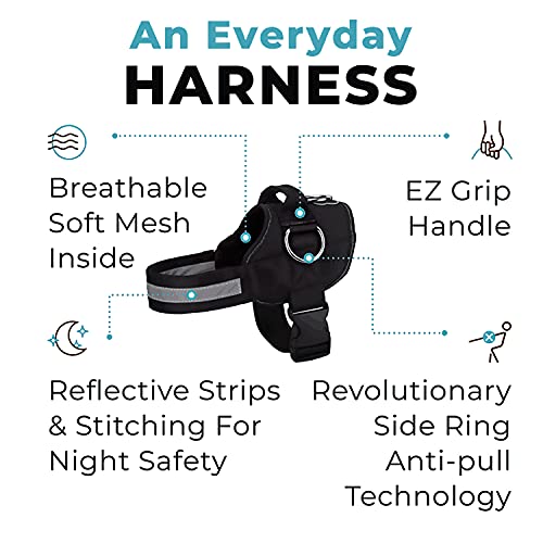 Joyride Harness for Small, Medium, Large Dogs, No-Pull Pet Harness with 3 Side Rings for Leash Placement, Adjustable… - Image 2