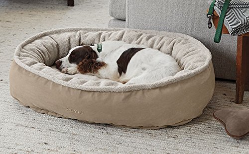 Top 10 Orvis Dog Beds Of 2020 Best Reviews Guide