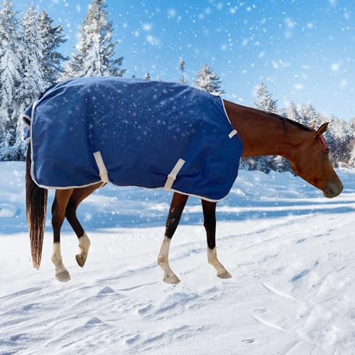 Winter 1200D Premium Turnout Horse Blanket,Medium Weight Waterproof Blanket