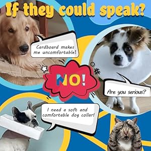 Big Hippo Inflatable Dog Collar, Protective Dog Neck Donut Collar Soft Pet Recovery Collar for Dogs and Cats After Surgery (Blue, X-Large)